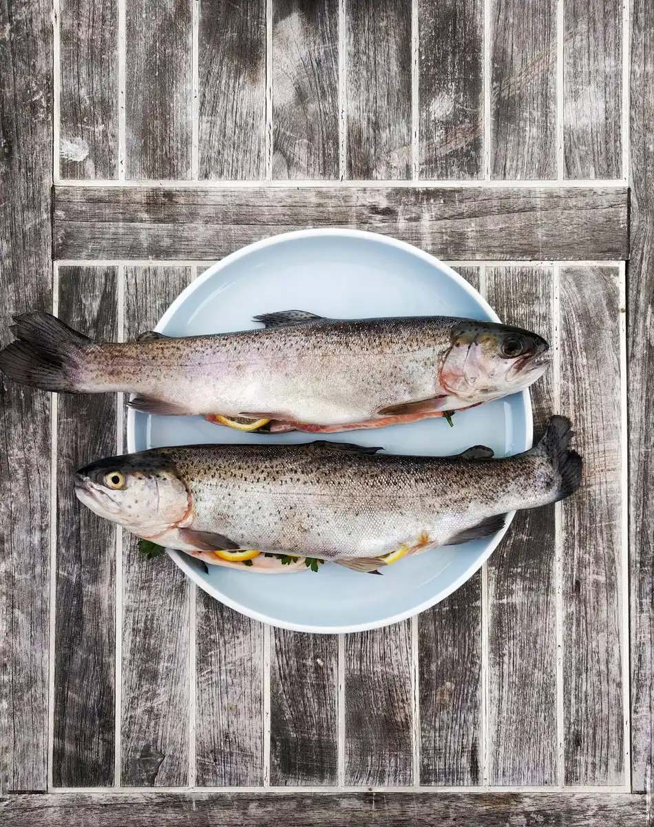 Deux truites sur une assiette